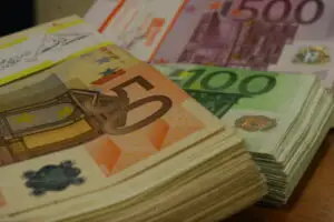 Parteneriat pentru salvarea cailor sălbatici de la Letea