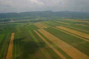 PAC: Mai multe ţări est europene se opun plafonării subvenţiilor pentru marile exploatări agricole