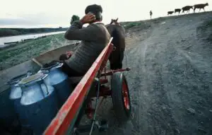 Ministerul Agriculturii: Secetă extremă în Câmpia Română şi în Banat