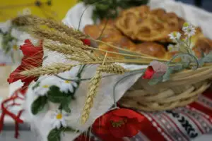 România are nevoie de încă 20 ani pentru a atinge potenţialul maxim în agricultură