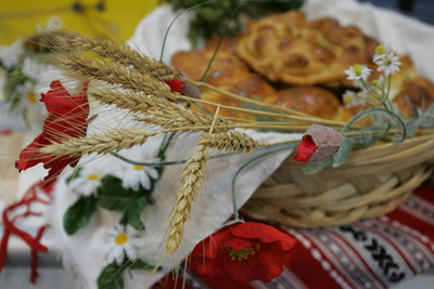 Scăderea TVA la alimente nu se află pe agenda Guvernului în acest an