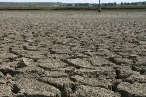 Ministerul Agriculturii combate seceta cu un set de “Recomandări privind exploatarea terenului în această toamnă”