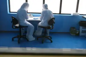 Stem Sure, cifră de afaceri de peste un milion de euro în 2010