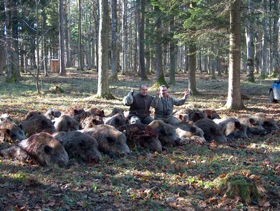 Romsilva câştigă anul acesta trei milioane euro din acţiuni de vânătoare