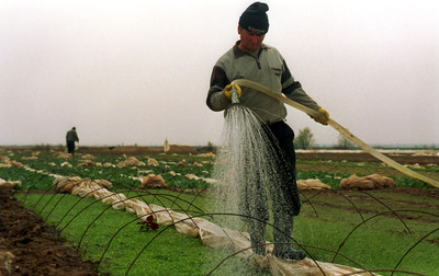 În ultimul an, agricultorii au primit subvenţii de 2,28 miliarde euro