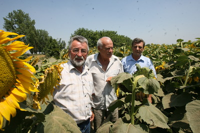 Băncile vor finanța agricultura dacă statul va acorda garanții