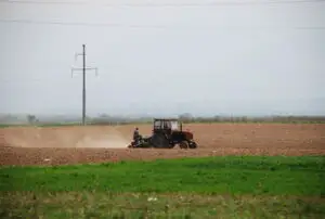 APIA a plătit fermierilor 1,7 miliarde lei ca avans la subvenţia europeană