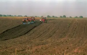 Absorbţie de 30% a fondurilor europene pentru agricultură