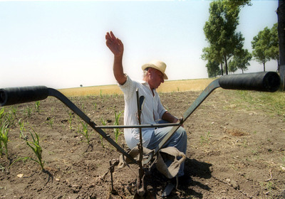 Fermele de sub zece hectare exploatează 38% din terenul arabil al României