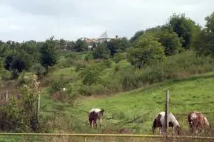 Domenii Statului concesionează terenuri în nouă județe