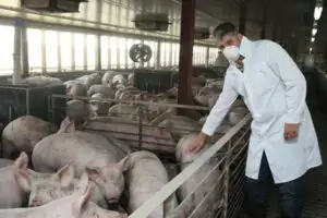 Investiţiile în agricultură au atras 2,035 miliarde euro de la UE