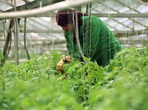 APDRP: Au fost finalizate 2.000 proiecte de dezvoltare rurală, în valoare de 374 milioane euro