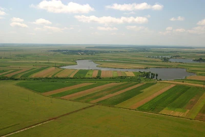 Constantin: ”Nu le vom putea interzice străinilor să cumpere terenuri agricole în România”