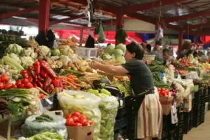 Agrostar: Producţia mare de legume nu va duce la scăderea preţurilor
