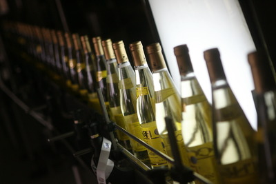 Uniunea Europeană va produce primele vinuri bio