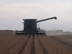 Tabără: România va obţine 12 milioane tone de grâu în anul 2030