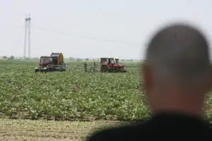 Plafonarea subvenţiilor europene pentru marii fermieri îl sperie pe ministrul Tabără, dar nu şi pe agricultori
