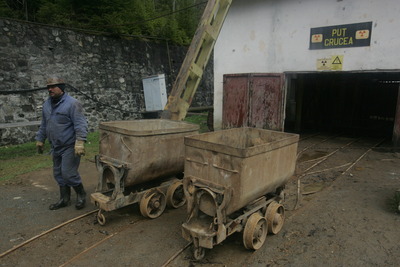 Guvernul ar putea decide în două săptămâni crearea companiilor energetice Oltenia şi Hunedoara