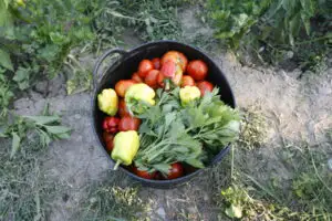 România, deficit de un miliard euro în comerţul cu alimente, în 2011