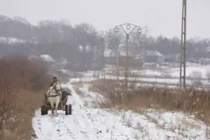 Fuia: Producţia agricolă nu este afectată de zăpada abundentă, important este să nu se producă inundaţii