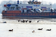 Autorităţile iau măsuri de neutralizare a efectelor posibilei poluări a Dunării