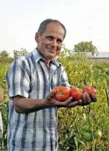 Agrostar: Marii producători vor să scoată de pe piaţă producătorii tradiţionali