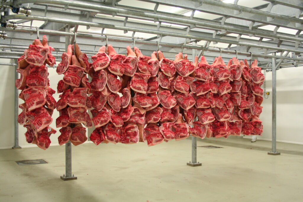 Carnea de porc se va scumpi, pe fondul creşterii preţurilor la cereale