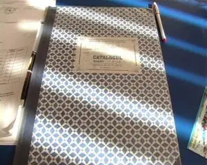 Catalogul electronic, o soluție la modă în școli
