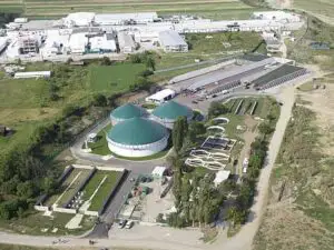 Top 5 cele mai importante investiţii din agribusiness în 2013