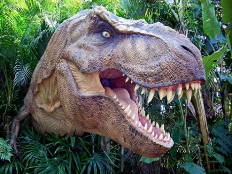 Cât valorează un dinte de dinozaur Tyranosaurus rex