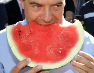 Întregul tiraj al unui ziar, distrus din cauza unei fotografii nereuşite a lui Medvedev