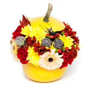 Românii, gata de Halloween: florile în dovlecei sunt la mare căutare