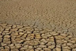 Franţa anunţă un ajutor de aproape un miliard de euro pentru agricultori