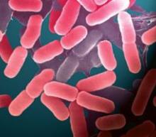 Bacteria, care a cauzat moartea a cel puţin două persoane, găsită în castraveţi din Spania