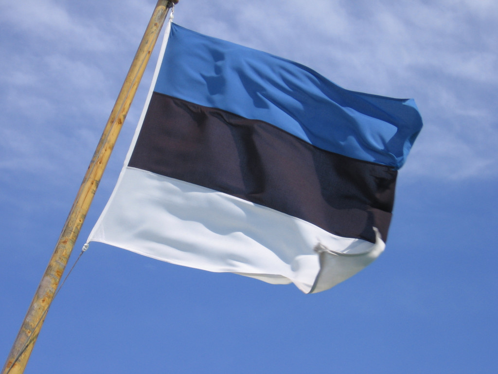 Estonia a pierdut 16% din locurile de muncă în 4 ani de criză