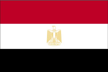Egiptenii au din nou acces la Internet