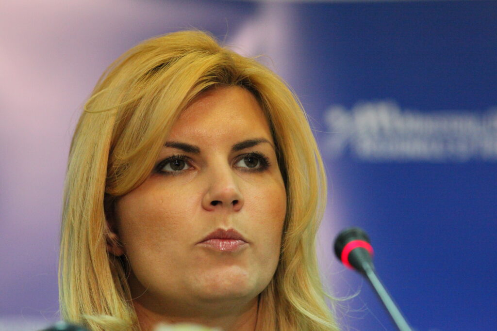 Elena Udrea: „Nu poţi să pui ţara în pericol, pentru că ai alegeri electorale”