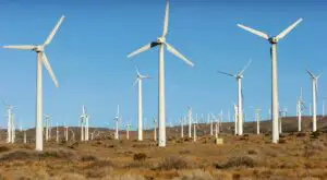 Americanii se întorc împotriva energiei regenerabile. Tu ce combustibil preferi?