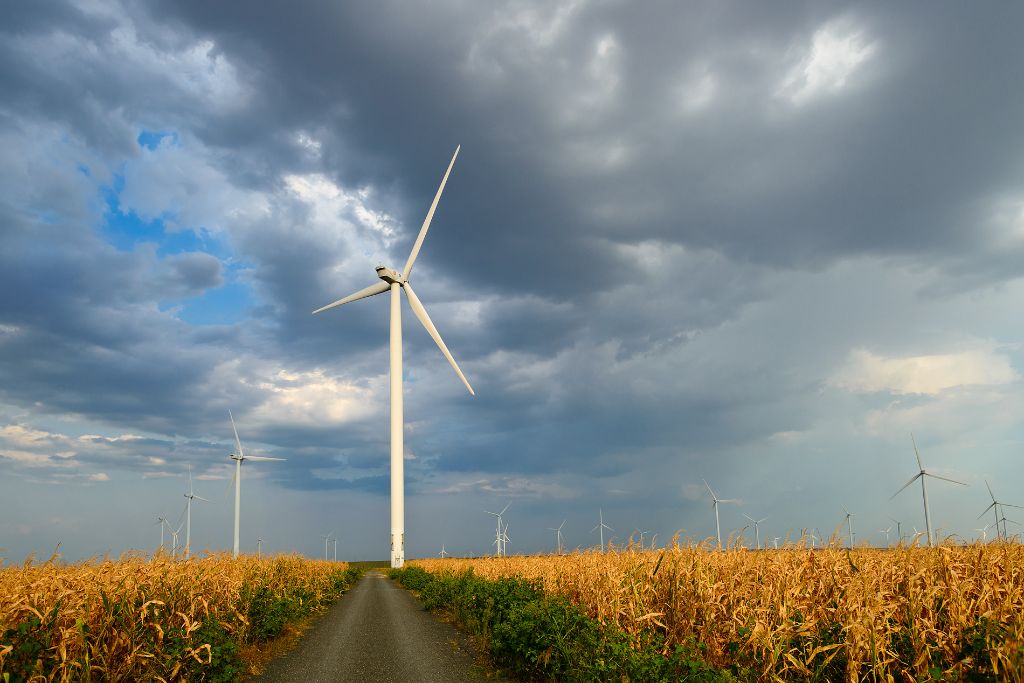 România este considerată cea mai activă ţară din Europa de Est în sectorul eolian