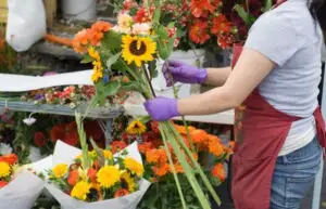 Florăresele din România au importat plante de 20,4 mil. euro în 2010