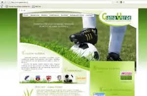 Oprişan şi „Profesioniştii gazonului natural”, diletanţi şi în business. Scădere de 80% în doi ani