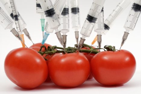 România va semna un protocol privind organismele modificate genetic