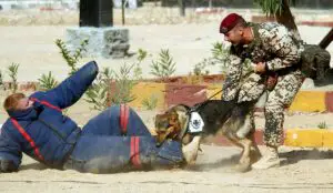 TOPUL celor mai mari FORŢE MILITARE ale lumii