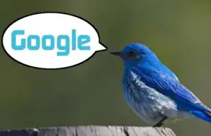 Ai grijă la ce postezi pe Twitter! Ai putea rămâne fără job!