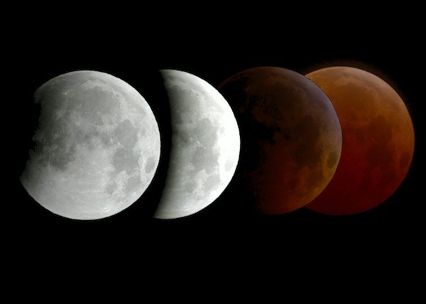 Eclipsa totală de lună, marcată de Google cu un logo special