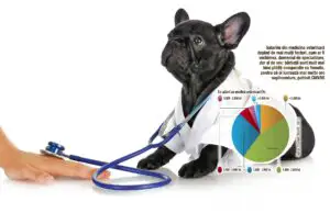 Medicina veterinară, pepinieră de antreprenori