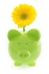 Fondul Verde, o avere „eco”, menită să ajute economiile emergente să facă față încălzirii globale