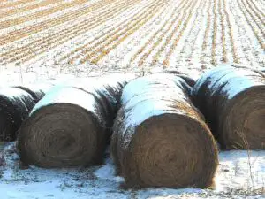Federația PRO AGRO a depus documentația pentru a înființa primul fond mutual din agricultură