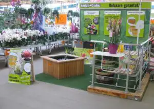 Hornbach deschide un nou magazin la Timișoara, în urma unei investiții de 30 de milioane de euro