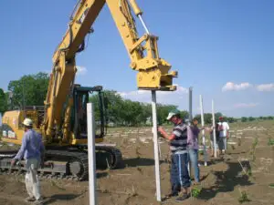 Ministrul Agriculturii: Discutăm la CE o suplimentare cu 5-6 milioane euro pe an a programului de reconversie-replantare la vie